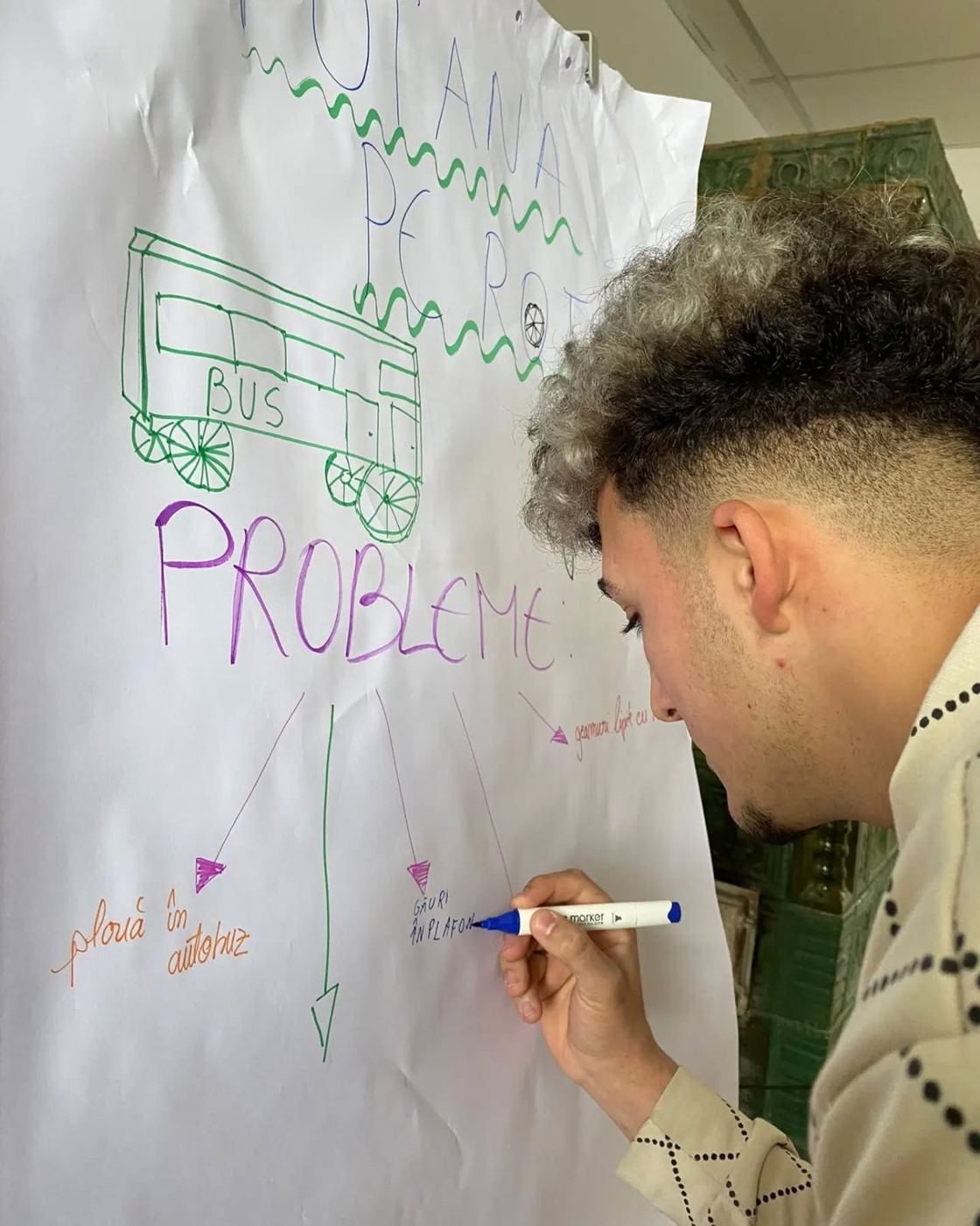 Flipchart cu problemele transportului
